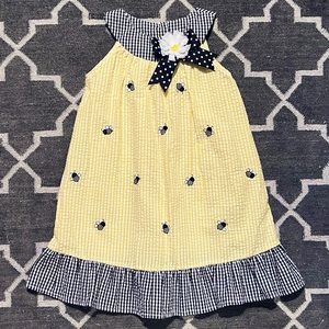 Seersucker Dress w/ Embroidered Bumblebees, Contrasting Plaid and Ruffled Hem